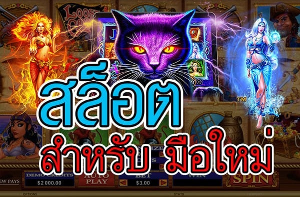 สอนเล่นสล็อตมือใหม่ แตกแน100% -SLOT-TRUE-WALLET.COM