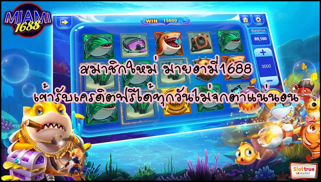 สมาชิกใหม่-มายอามี่1688-เข้ารับเครดิตฟรีได้ทุกวันไม่จกตาแน่นอน